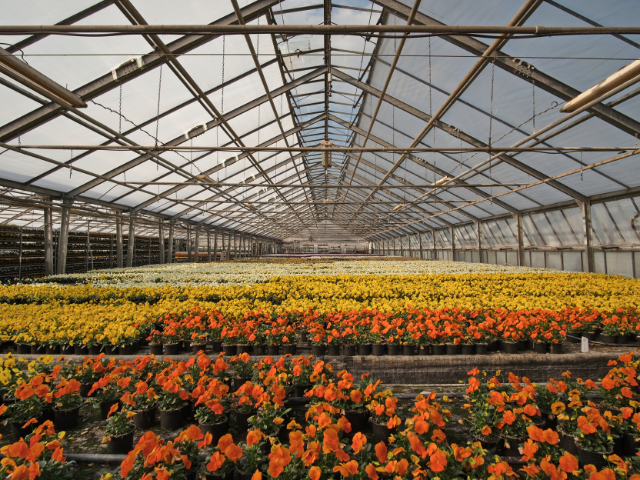 Jasa Pembuatan Hidroponik Bogor - TERPERCAYA